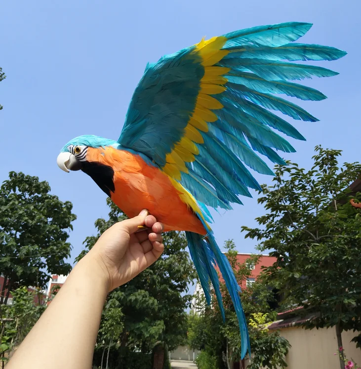 large 42x60cm lake blue feathers spreading wings parrot artificial bird model handicraft,prop,home garden decoration gift p2829