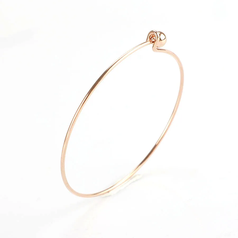 Fnixtar Roestvrij Staaldraad Uitbreidbaar Armband Base Verstelbare Bangle Diy Charm Armbanden Bangles Innerlijke Dia 60Mm 50 Stuk/partij