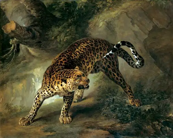 

Oil Painting Reproduction,handmade oil painting,Dead Roe,leopard-1741 by Jean-Baptiste Oudry,Animal,Museum quaity