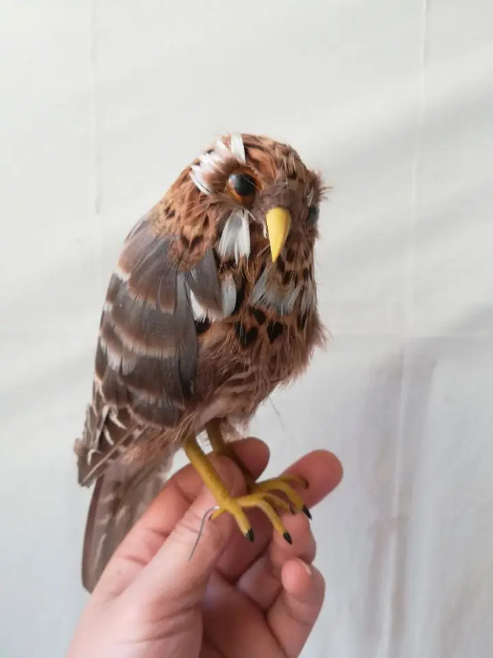 Ferruginous Pygmy-owl brown feathers bird Glaucidium brasilianum,pastoral handicraft about 23cm 0585