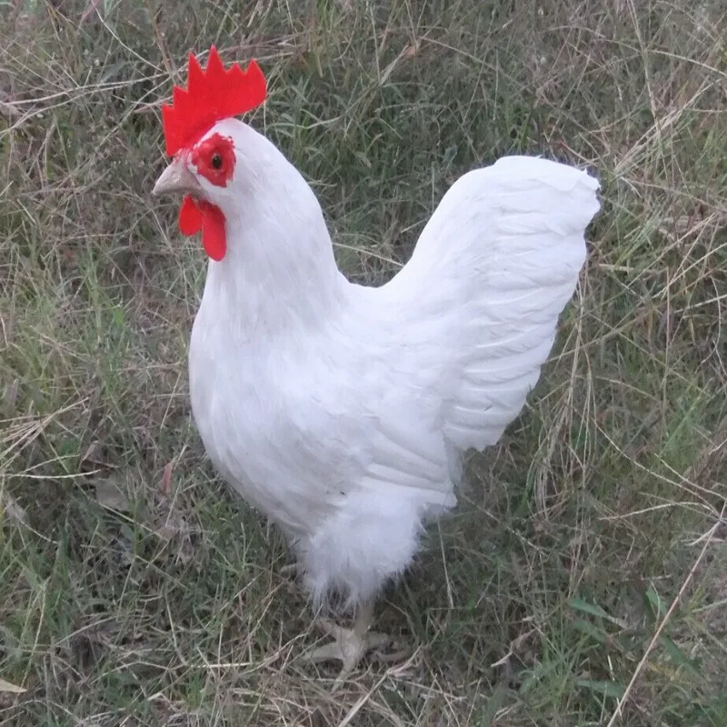 big white simulation rooster toy resin&fur beautiful white chicken doll gift about 40x18x39cm 1208