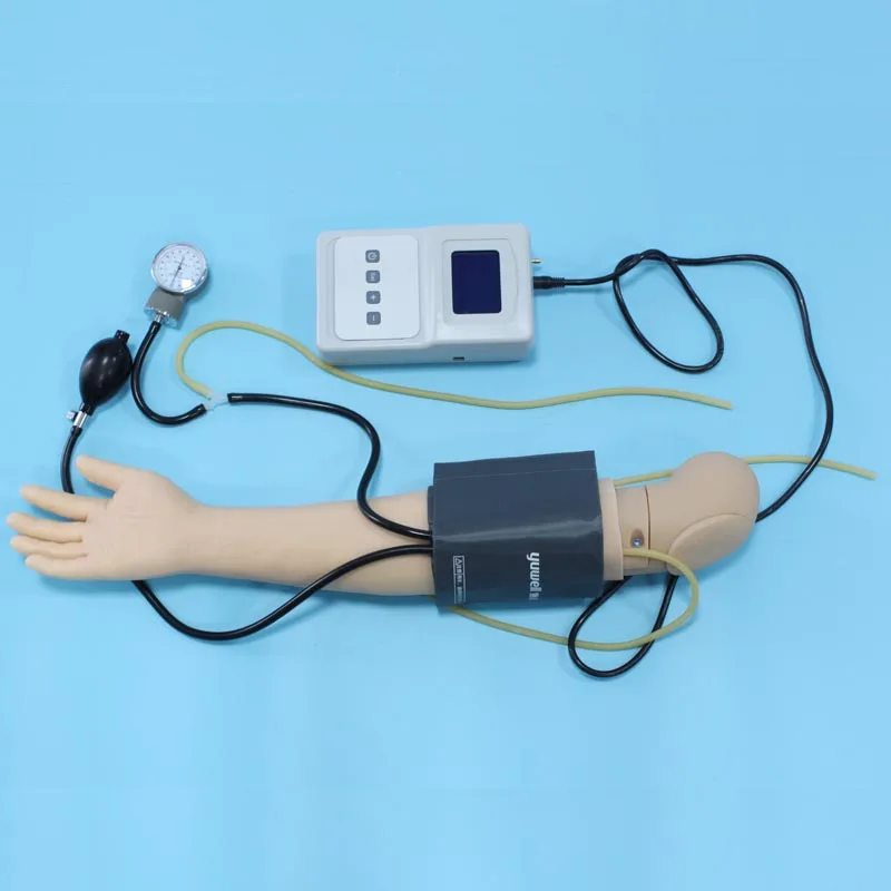 

BIX-HS7 Advanced Blood Pressure Measurement Training Simulator Nursing Model