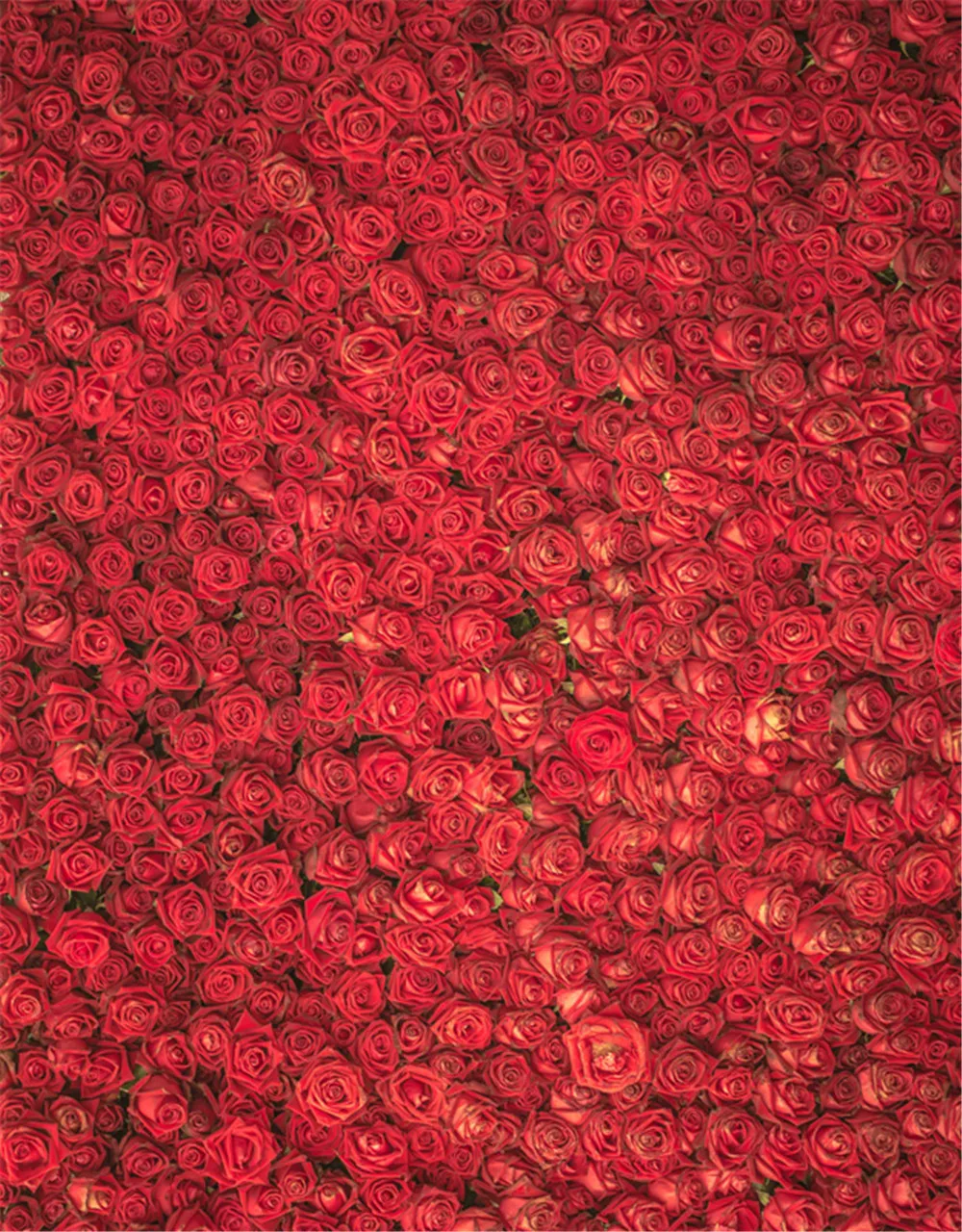 

Romantic Red Roses Backdrops for Photography Baby Newborn Photo Props Printed Flowers Wall Valentines Day Wedding Backgrounds