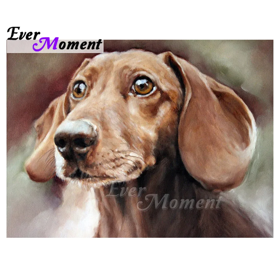 

Ever Moment Diamond Painting 5D DIY Handmade Decoration For Home Dog Diamond Embroidery Full Square Drill Rhinestone ASF1502