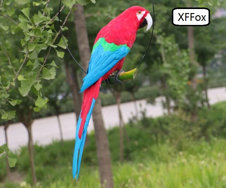 big real life red&blue parrot model foam&feather simulation turned parrot bird gift about 60cm xf0187