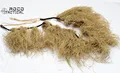 Dry Grass