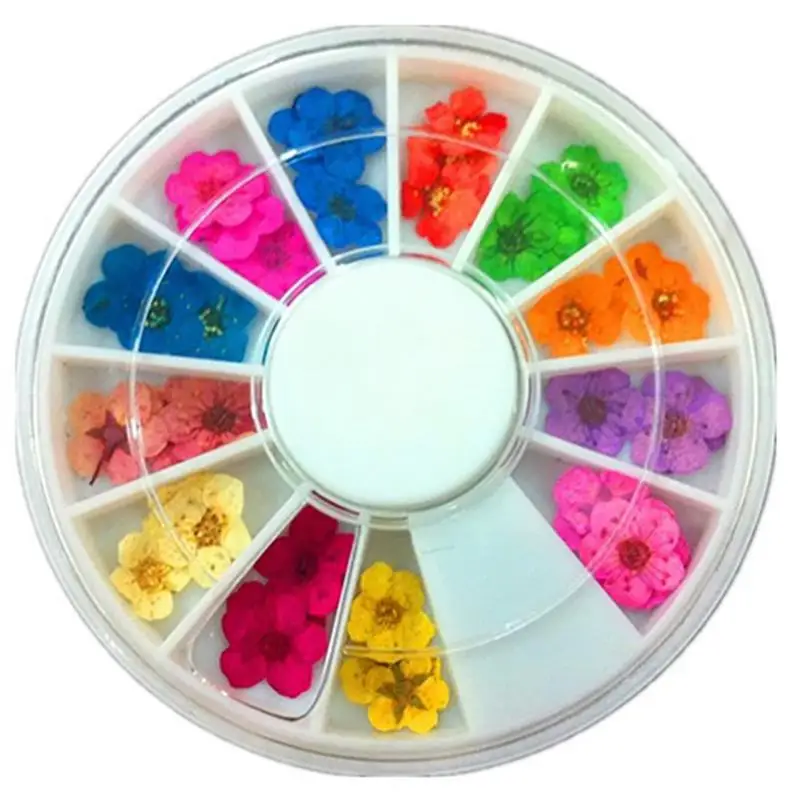 24pcs Nail Dry Flower Nail Art Decor 12 Color Dry Dried Flowers DIY Tips Natural Makeup Manicure Decorative Dried Flower