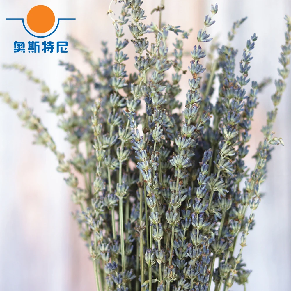 200g dried natural flower bouquets dried natural English Lavender flower bouquet&natural English lavender flower Bunches