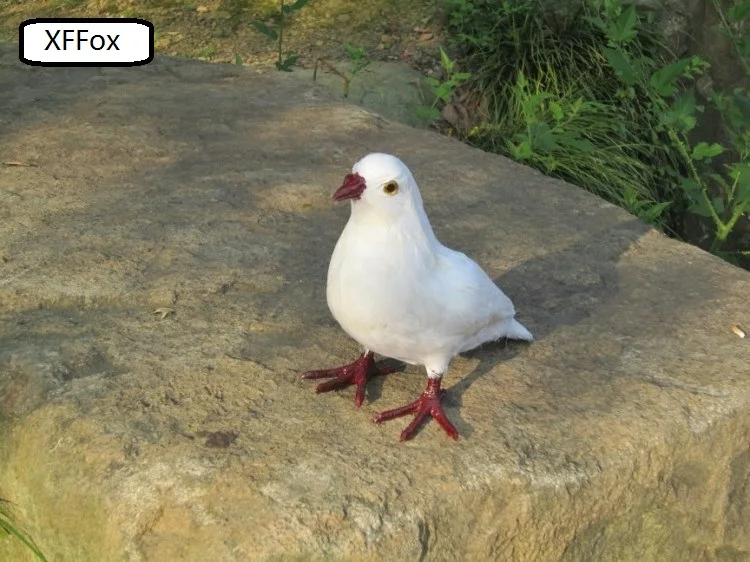 new real life pigeon model plastic&feather white dove bird about 22x18cm xf0035