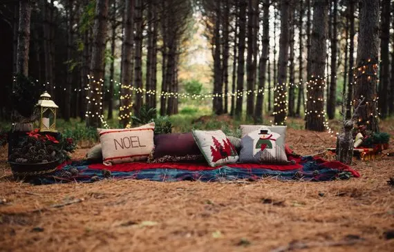 

Cozy Outdoor Christmas woodland forest camping light Themed backdrops Computer print children kids background