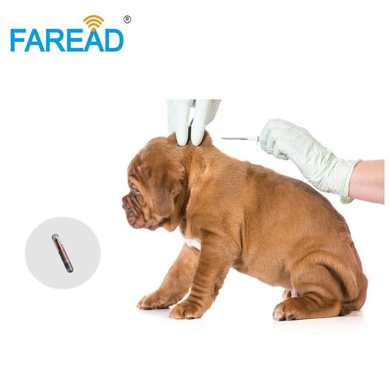 Microchip RFID ICAR de 134,2 khz, 2,12x12mm, ISO11784, ISO11785, EM4305, FDX-B, chips de etiqueta de biovrio estándar para perros y animales