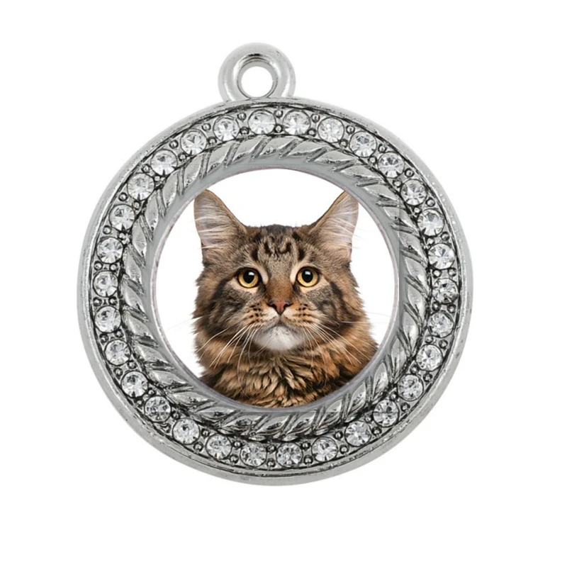 

MAINE COON CAT SQUARE CIRCLE CHARM charm silver plated jewelry