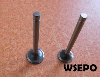 Chongqing Quality! Intake and Exhaust Valves Kit for EH12/EH12-2D 4 stroke Small Gasoline Engine