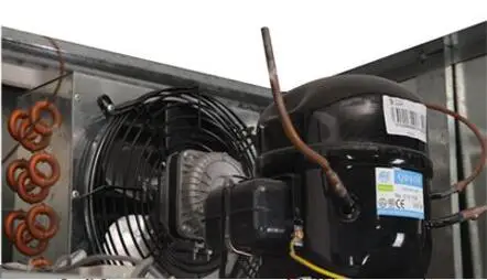 2 도어 직립형 냉동고 냉장고 상업용