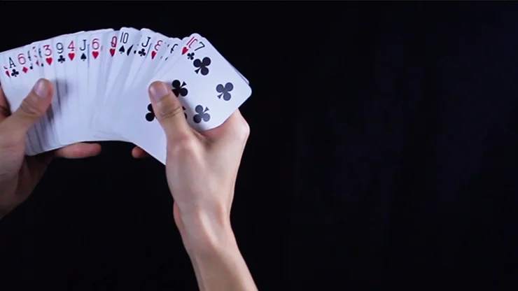 

Z DECK by ziv (Gimmick and online instructions) - Card Magic Tricks Illusions Close up Magia Street Mentalism Fun Magician Deck