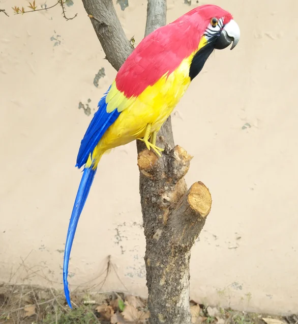 large 42cm coloured red feathers parrot artificial bird model handicraft,prop,home garden decoration gift p2821