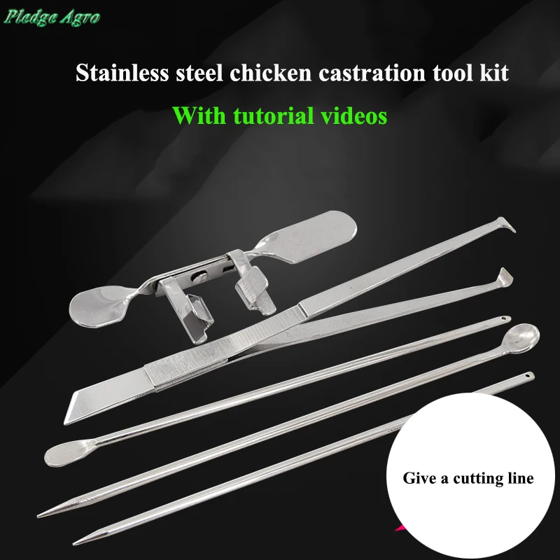 Chicken Capon Kit Tools Cock Rooster Caponizing Caponize Instruments Set Farm Poultry Equipment Device Stainless Steel Day Old