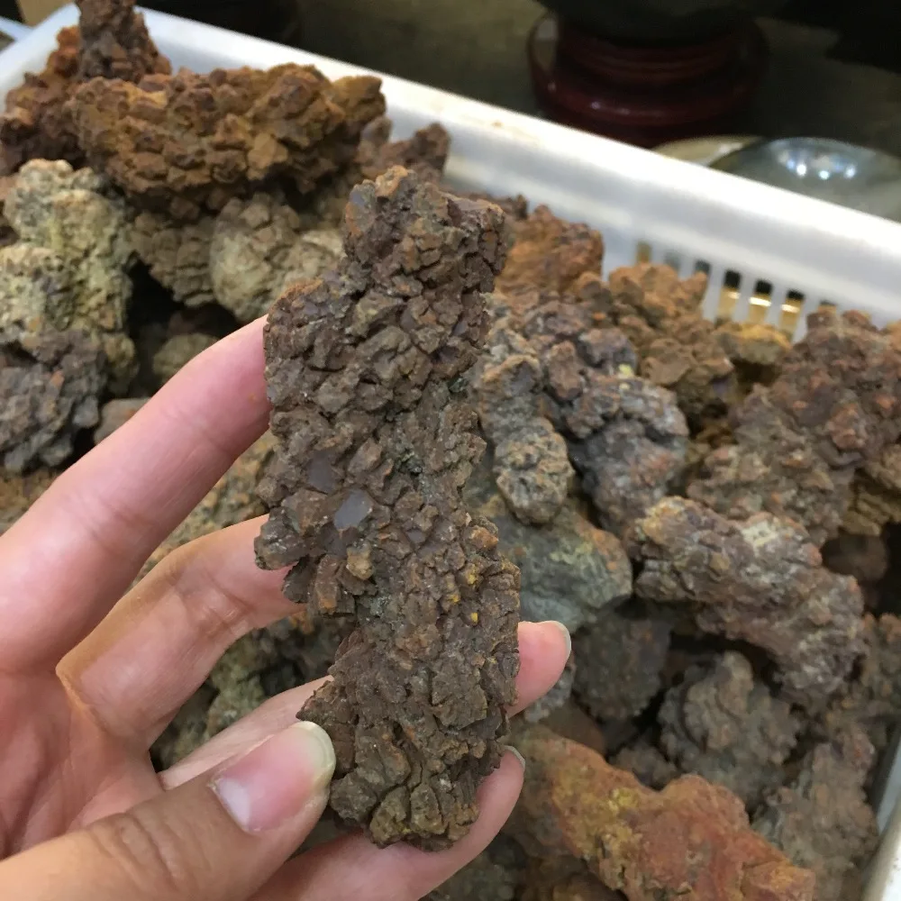 COPROLITE Fossilized Dinosaur Poop Specimen Fossil Madagascar 70-90g
