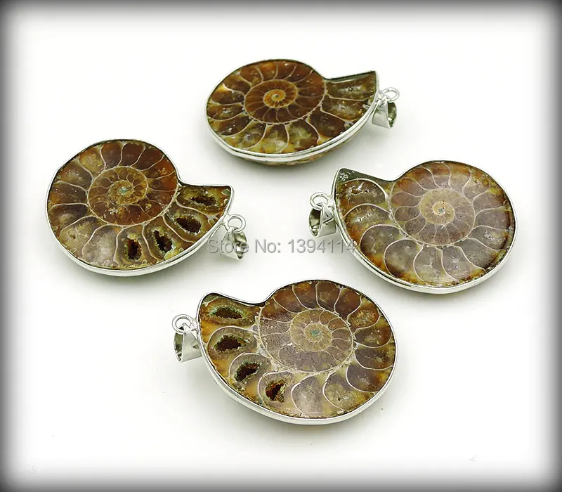 Natural Ammonites Pair Pendants With Wrapping Frame Of Plating Platina Approx 35mm