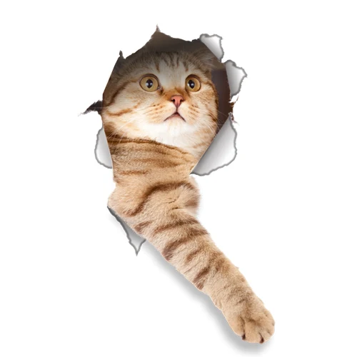 Leuke katten muursticker Hole View Levendige honden badkamer 3D toiletstickers voor huisdecoratie dieren stickers zelfklevende poster