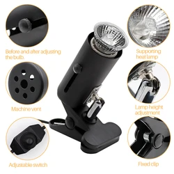 UVA + UVB Pet Rettile Lampada Kit di Clip-on Supporto Del Supporto della Luce In Ceramica Tartaruga Crogiolarsi UV Della Lampada di Riscaldamento Set Tartarughe lucertola di Illuminazione 220V