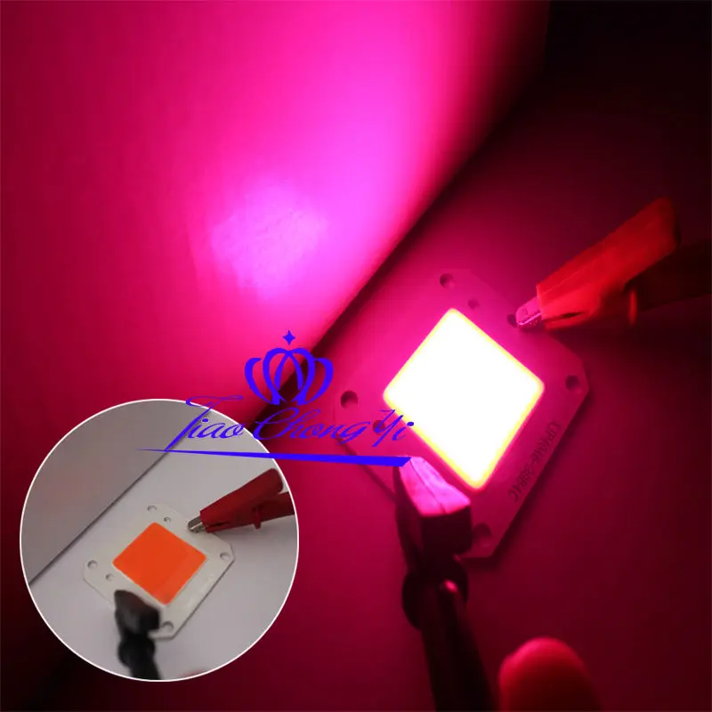 

2021New DC32V 50W COB LED Full spectrum 400-840nm High Powe Grow Light for hydroponics