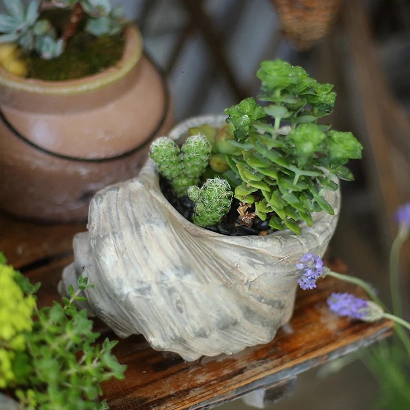 

Conch Ceramic Flower Pot Creative Desktop Home Succulent Green Planted Bamboo Potted Utensils Chinese Pastoral