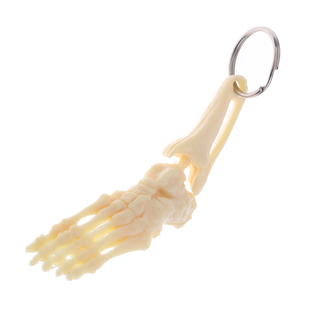 Halloween Mini Human Foot & Ankle Joint Skeleton Model Keychain Key Ring Bag Pendant Collectibles Gift Halloween Party Favors