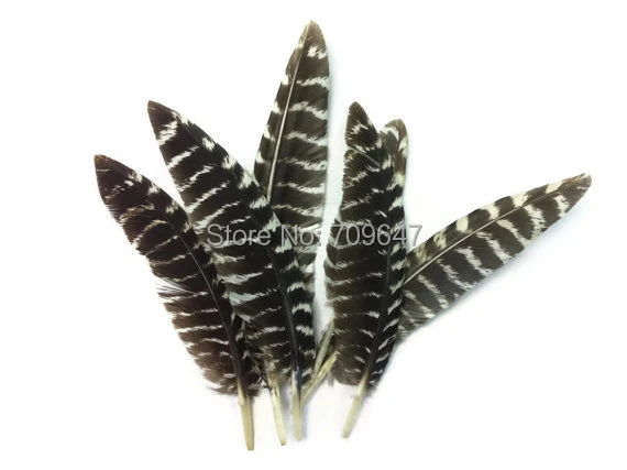 

Turkey Feathers,100pcs/lot,10-14cm long - Natural Curly Wild Turkey Small Wing Quill Feathers for DIY Handicrafts Accessoires