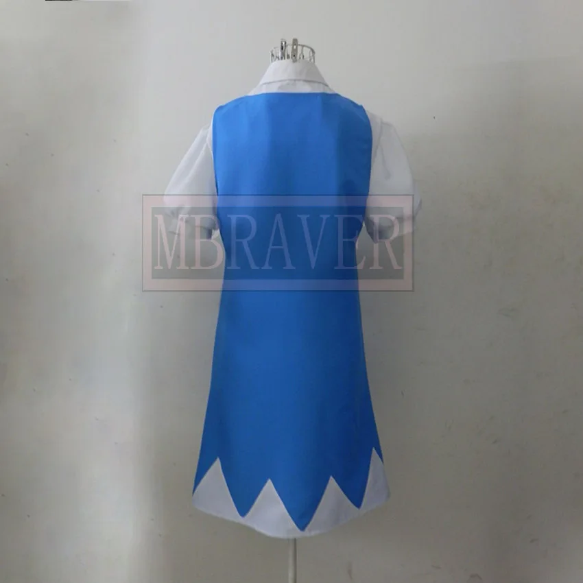 Touhou Project Cirno Cosplay Kostuum Custom Made Elke Grootte