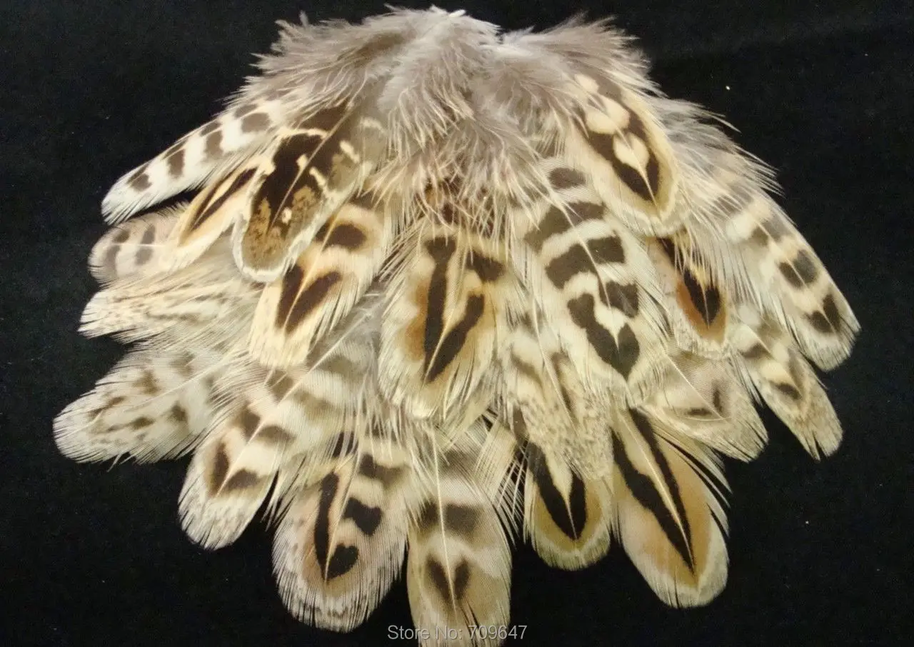 Plume decoration!200PCS/LOT! 2-4inches RINGNECK HEN PHEASANT BODY FEATHERS PLUMAGE,Loose Hen RINGNECK PHEASANT Feathers