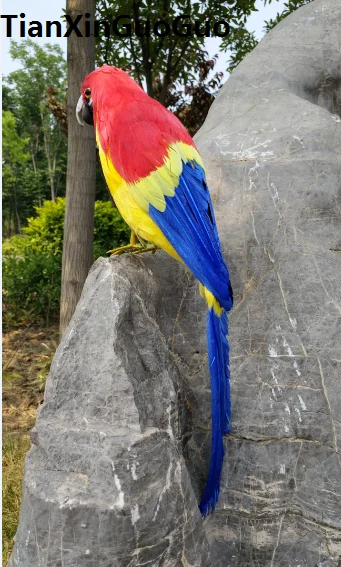 

large 42cm colourful feathers parrot hard model parrot bird prop handicraft home garden decoration s1884