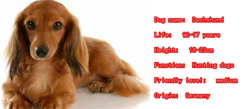 Mdogm Dachshund Dog Animal Brooches And Pins  Suit Cute Funny Metal Small Father Collar Badges Gift For Male Men B045