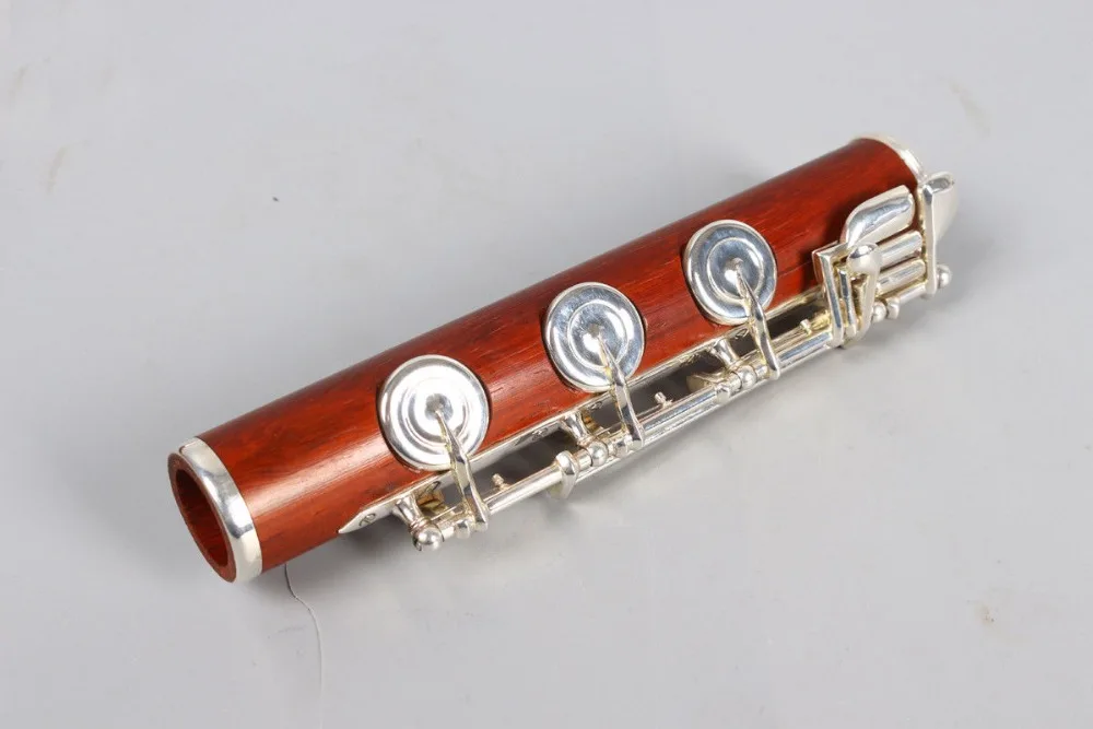 Yinfente New flute 17 hole Open Silver Plated Key E key B Foot Professional rosewood body With Case