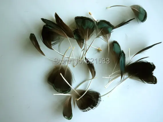 100Pcs/lot,4-7CM Shredded LADY AMHERST Iridescent Green Pheasant Feathers,Loose Stripped Lady Amherst feathers,Small Feathers