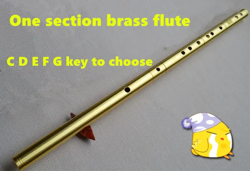 Brass Metal Flute F Key Metal Flute Open Hole One Section Profesional Musical Instrument Flute Self-defense Weapon Chinese Flute image 4