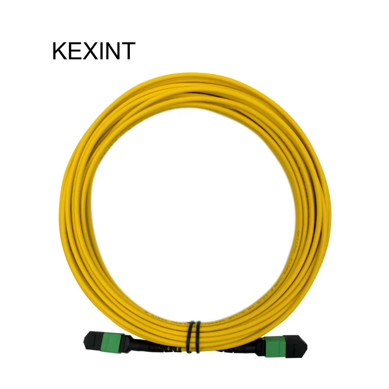 

KEXINT Fiber Optic Patch Cord 24cores MTP-MTP Singmode Fiber Optic Patch cord