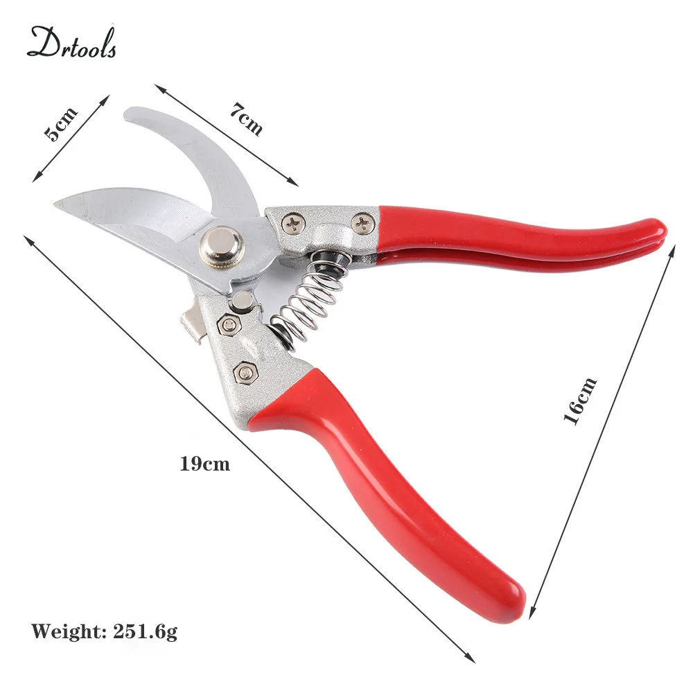 Ciseaux de jardinage antidérapants, greffage, cisaille à main, outils de coupe d\'arbres fruitiers en acier inoxydable, sécateurs de bonsaï GT001