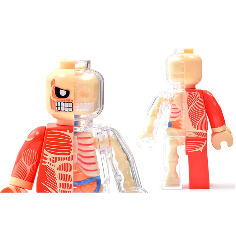 4D Master Fashion Brick Man Funny Anatomy Model Mini Halloween Skeleton Soldier Doll Decoration Toys