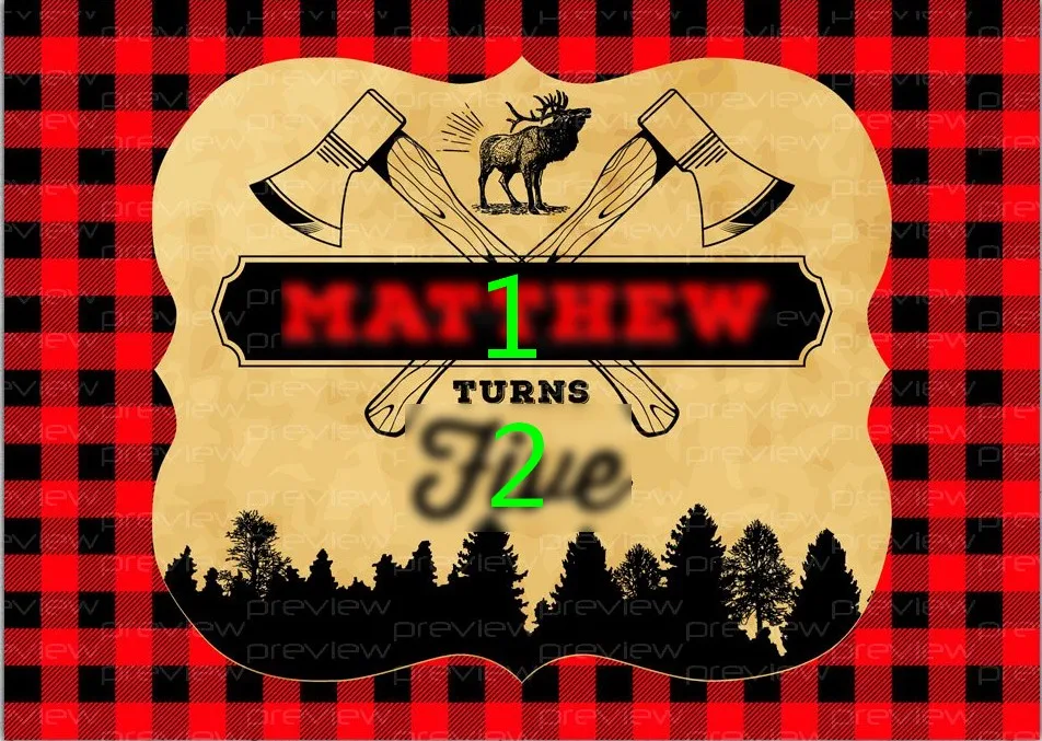 Custom Lumberjack Buffalo Plaid Party background  High quality Computer print birthday photo backdrop