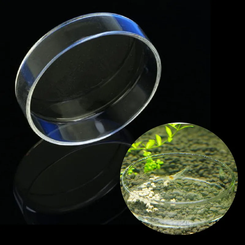 Glass Round Aquarium Shrimp Food Feeder Feeding Bowl Cup Fish Tank Food Dish Container For Crystal Red Shrimp Snail Fish