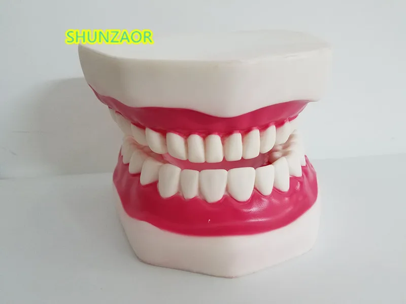 Modelo de dientes de plástico 6 veces, maniquí Dental, lengua, boca, portátil, médico