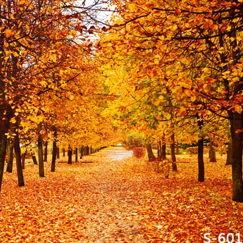 

10x10FT Autumn le Trees Tunnel Fallen Leaves Path Garden Custom Photography Studio Backdrops Backgrounds Vinyl 8x8 8x10 8x15