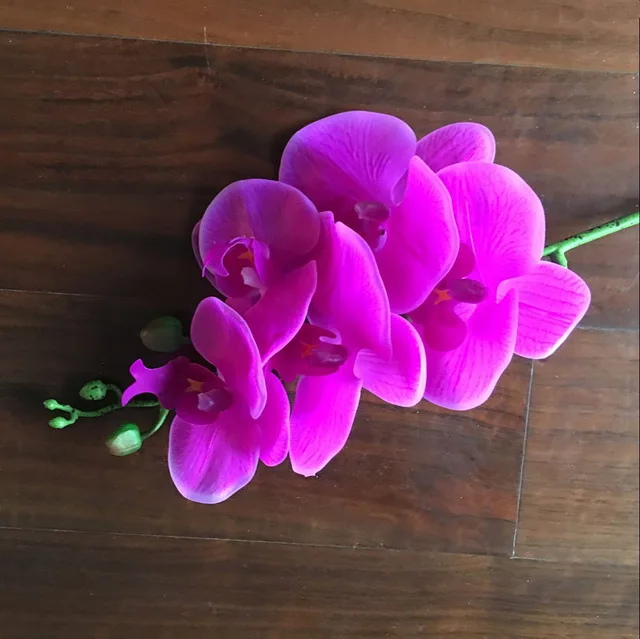 5-Heads/branch Artificial Butterfly orchid Phalaenopsis Silicon Real Touch  Latex Orchidee Wedding High Quality
