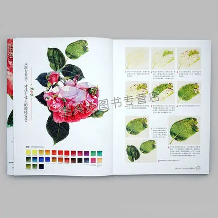 New Flowers plants book Grundkurs Aquarellmalerei Watercolor painting tutorial art drawing books for Adults