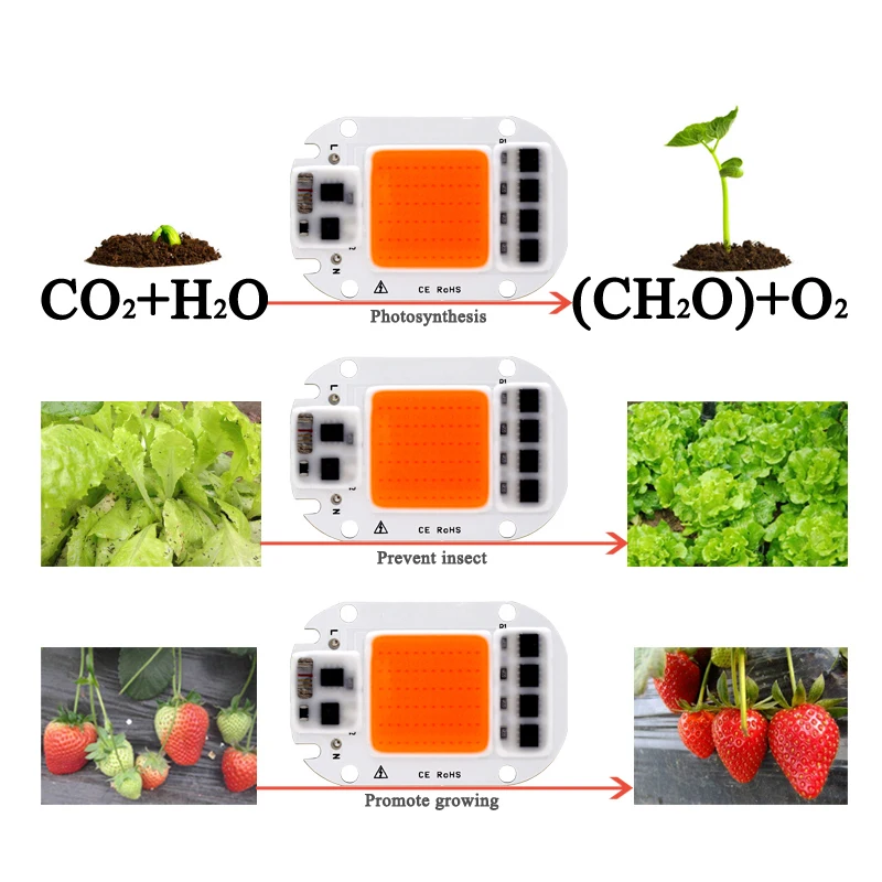 LED COB Chip For Grow Plant Light Full Spectrum 220V 110V 20W 30W 50W For Indoor Plant Seedling Grow and Flower Growth Lighting