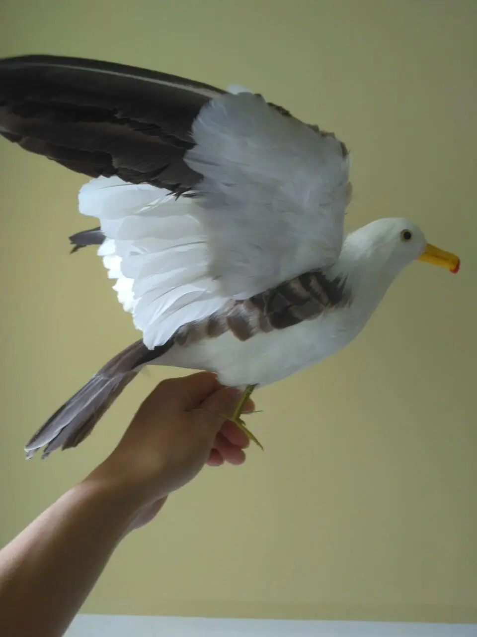 new simulation Seagull toy foam&fur wings seagull bird model about 35x50cm