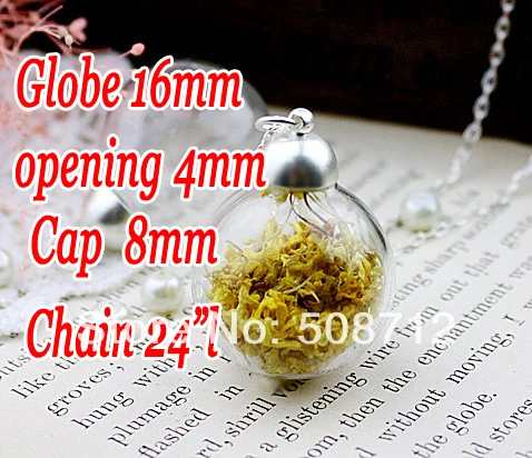 

20sets 16mm Clear Glass Globe Bottle Pendant opening 4mm & Silver Necklace & Silver cap