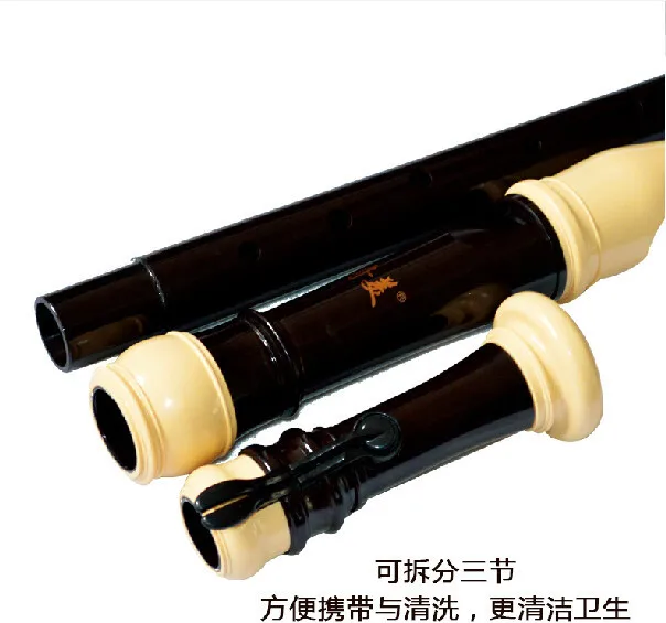 Full Set Plastic Recorder with Leather Bag, 8-Hole, Baroque Sopranino, Soprano, Alto, Tenor and Bass, English-style