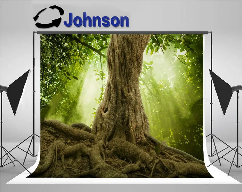 

Big Tree Roots Sunbeam Green Forest photography backgrounds High quality Computer print wall photo backdrop